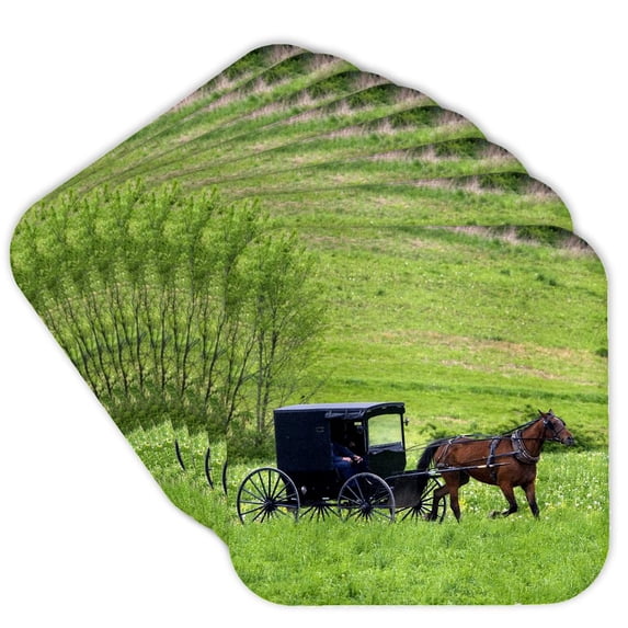 3dRose, Amish farm with horse buggy near Berlin, Ohio - US36 DFR0018 - David R. Frazier, set of 8 Coasters - Soft