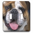 thumbnail image 1 of 3dRose, An English Bulldog in Belgium-EU04 DFR0027 - David R. Frazier, double toggle switch, 1 of 1