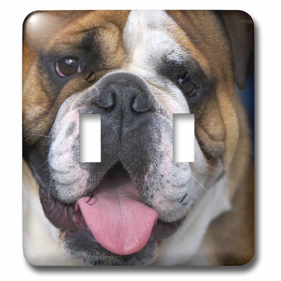 3dRose, An English Bulldog in Belgium-EU04 DFR0027 - David R. Frazier, double toggle switch