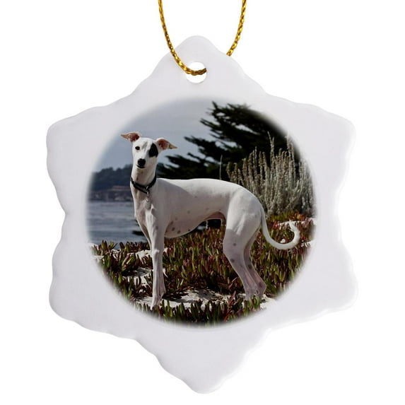 3drose, an Italian Greyhound Dog, California - Us05 Zmu0345 - Zandria Muench Beraldo, 3 inch Snowflake Porcelain Ornament
