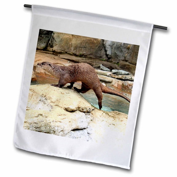 3dRose, An otter walking across rocks that look hot, 12 x 18 inch Garden Flag