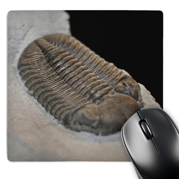 3dRose, Andalusiana from the cambric Morrocco, MousePad