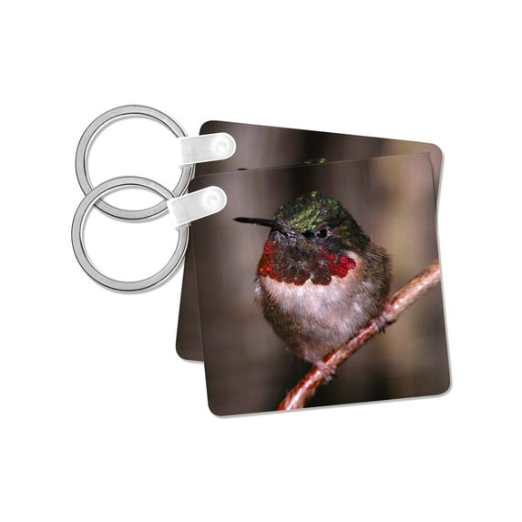 3dRose, Anna Hummingbird, set of 2 Key Chains