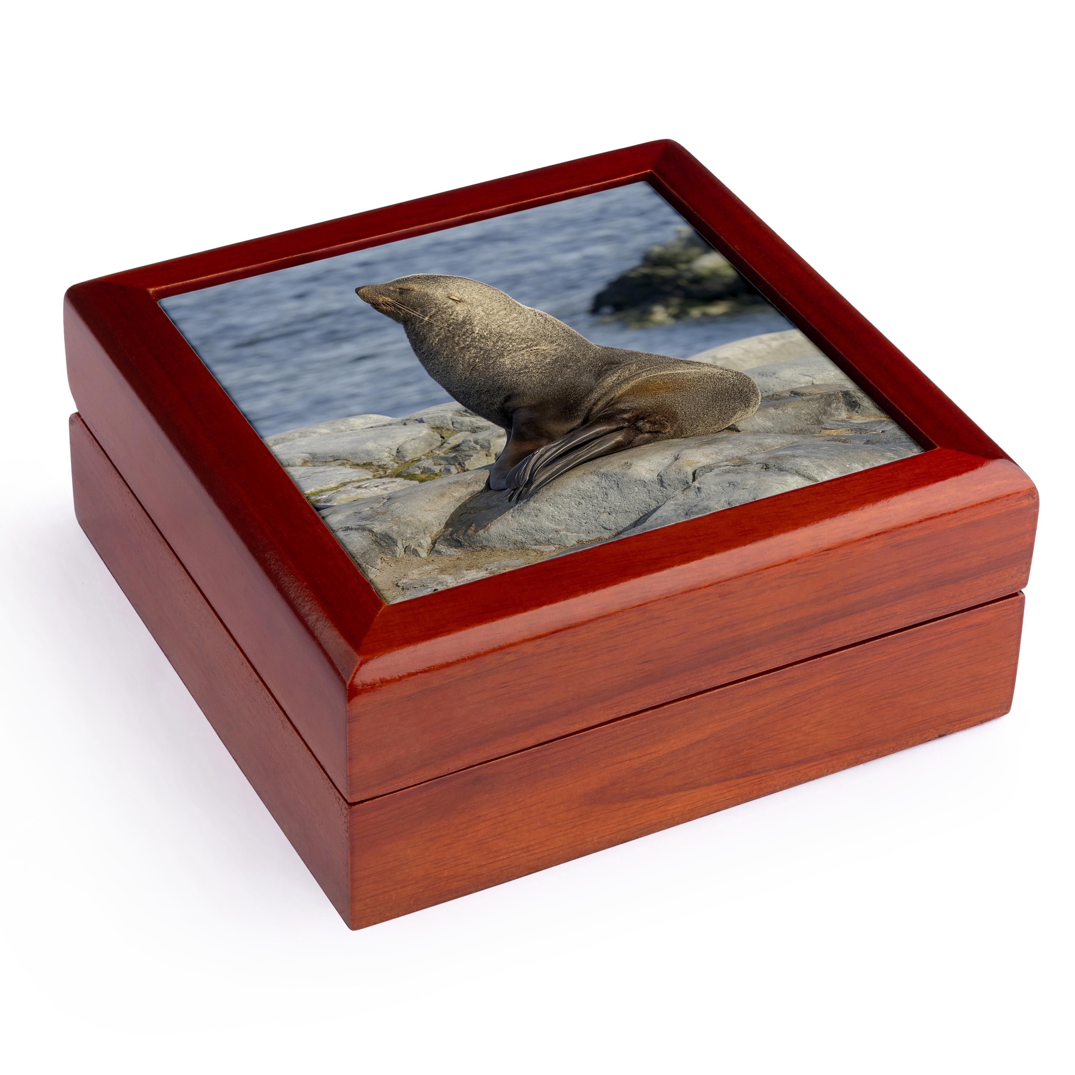 3dRose, Antarctic Fur Seal on rocks in Palmer Archipelago, Antarctica., Jewelry Box 5.5x5.5 inch with 4 inch tile