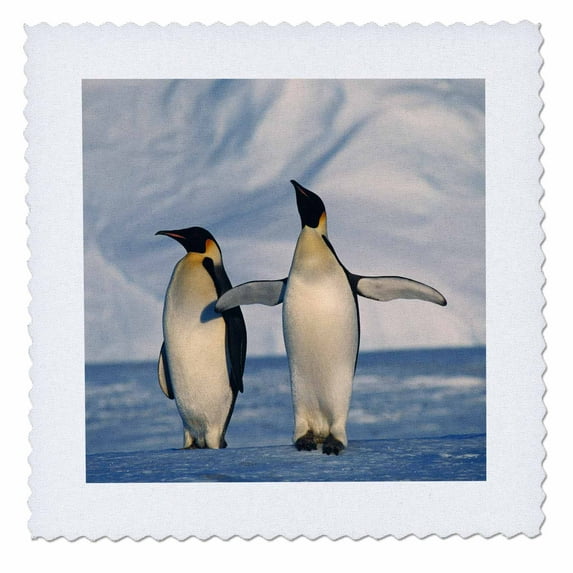 3dRose, Antarctica, Emperor Penguins standing in winter , 10x10 inch quilt square