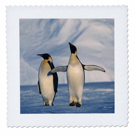3dRose, Antarctica, Emperor Penguins standing in winter , 6x6 inch quilt square
