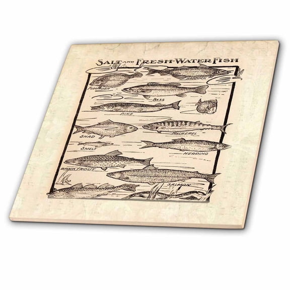 3dRose, Antique Chart Of Fish Fresh n Saltwater, 8 Inch Ceramic Tile