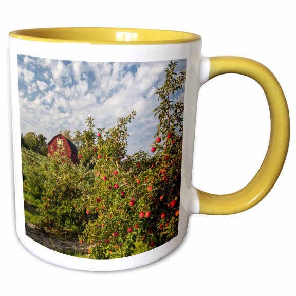 3drose, Apples in Orchard with Quilt Barn Near Traverse City, Michigan, Usa, 11oz Two-tone Yellow Mug