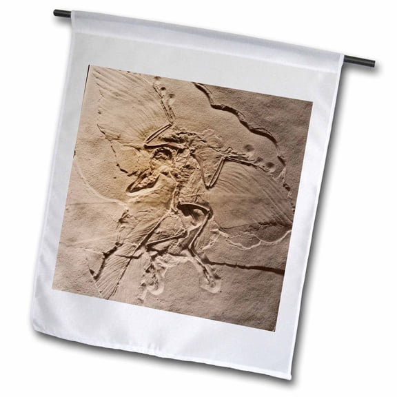 3dRose, Archaeopteryx from the Jurasic Germany, 12 x 18 inch Garden Flag