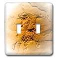 thumbnail image 1 of 3dRose, Archaeopteryx from the Jurasic Germany, double toggle switch, 1 of 1