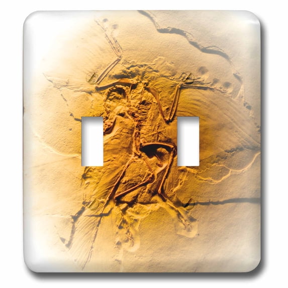 3dRose, Archaeopteryx from the Jurasic Germany, double toggle switch