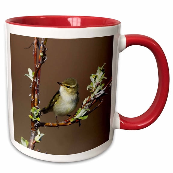 3drose, Arctic Warbler, 11oz Two-tone Red Mug