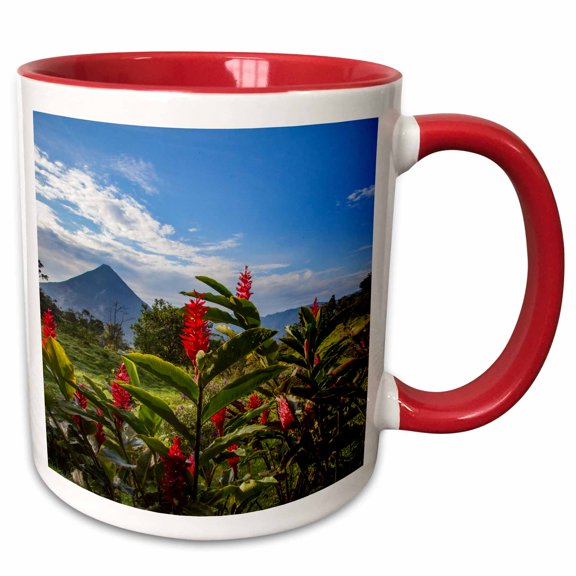 3drose, Arenal Volcano in Costa Rica with Tropical Flowers., 11oz Two-tone Red Mug