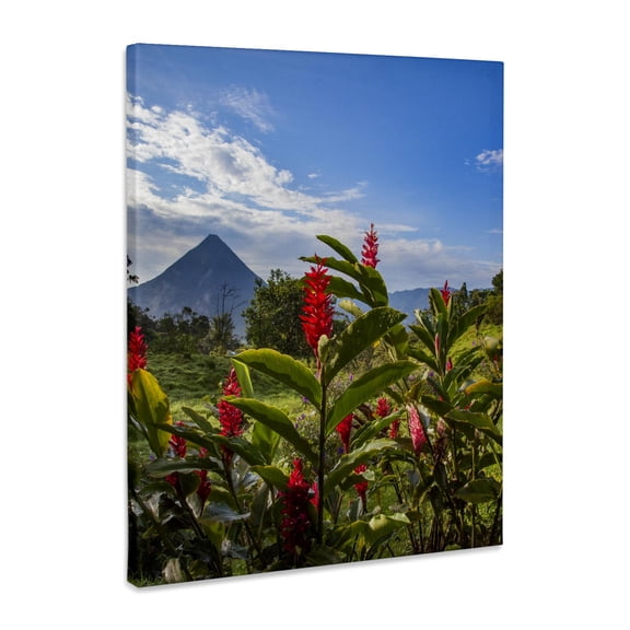 3dRose, Arenal Volcano in Costa Rica with tropical flowers., Museum Grade Canvas Wrap 11x14