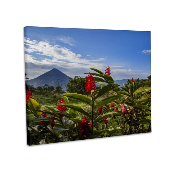 3dRose, Arenal Volcano in Costa Rica with tropical flowers., Museum Grade Canvas Wrap 20x16