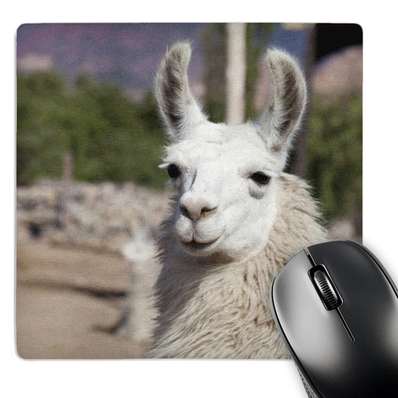 3dRose, Argentina, Jujuy, llama herd - SA01 JRI0097 - Jutta Riegel, MousePad
