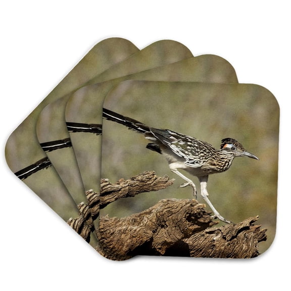 3drose, , Arizona, Buckeye. Greater Roadrunner on Log., Set of 4 Coasters - Soft