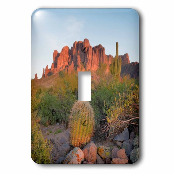 3dRose, Arizona, Lost Dutchman State Park. Superstition Mountains landscape, single toggle switch