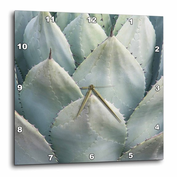 3drose, Arizona, Phoenix. Desert Botanical Garden, Agave, 15x15 Wall Clock