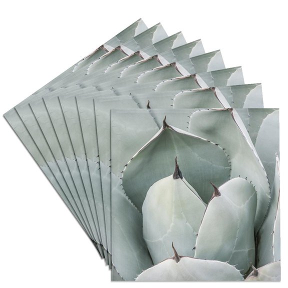 3drose, Arizona, Phoenix. Desert Botanical Garden, Artichoke Agave, Set of 8 Ceramic Tile Coasters