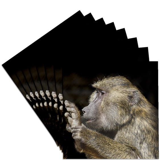 3drose, , Arizona, Wildlife World Zoo. Baboon in Profile., Set of 8 Ceramic Tile Coasters