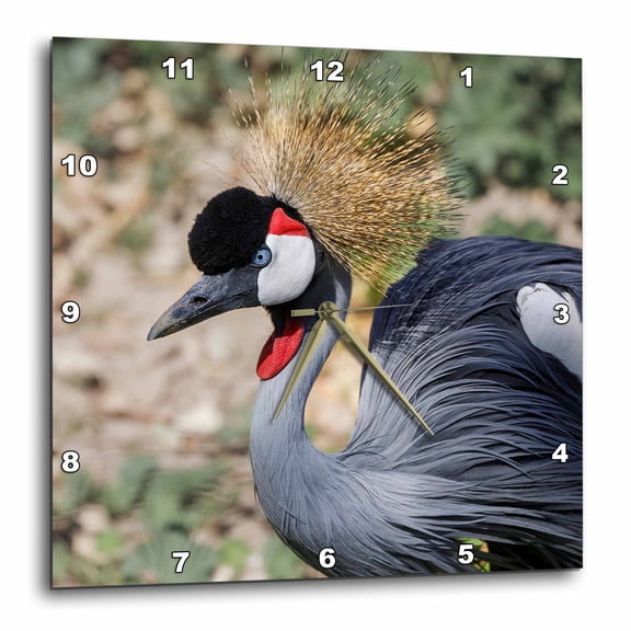 3drose, , Arizona, Wildlife World Zoo. Close-up of Grey-crowned Crane., 10x10 Wall Clock