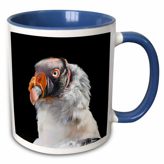 3drose, , Arizona, Wildlife World Zoo. Close-up of King Vulture Head., 15oz Two-tone Blue Mug