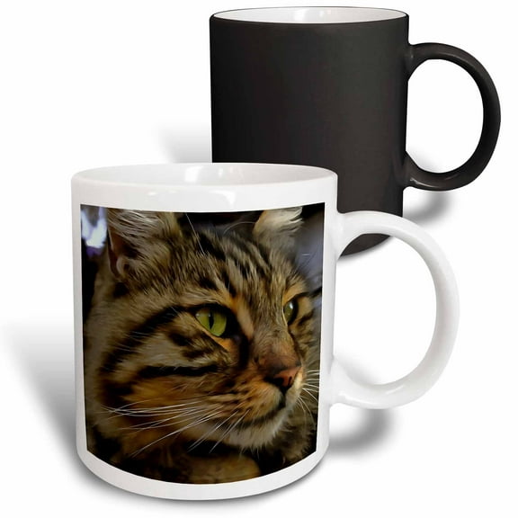 3drose, Aslan the Long Haired Tabby Cat, 11oz Magic Transforming Mug