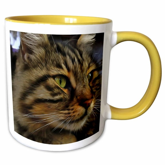 3drose, Aslan the Long Haired Tabby Cat, 11oz Two-tone Yellow Mug