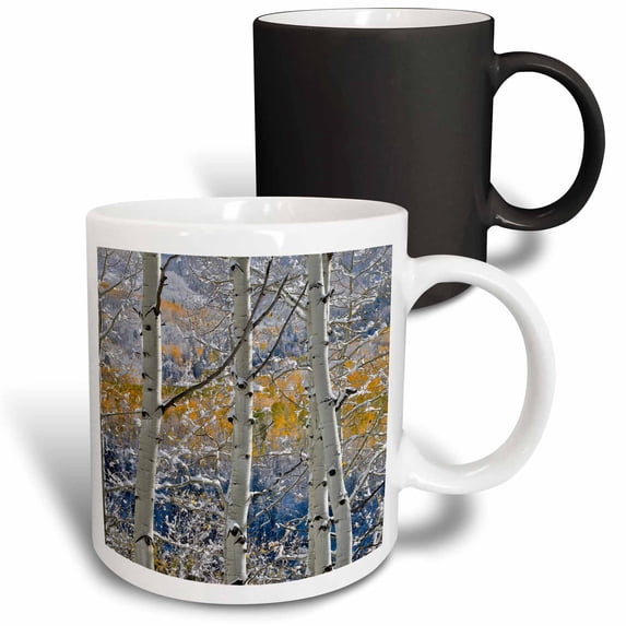 3drose, Close up of Aspen Tree, Keebler Pass, Rocky Mountains, Colorado, 11oz Magic Transforming Mug