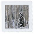 thumbnail image 1 of 3dRose, Aspen grove with autumn snows, Keebler Pass, Rocky Mountains, Colorado, 10x10 inch quilt square, 1 of 1