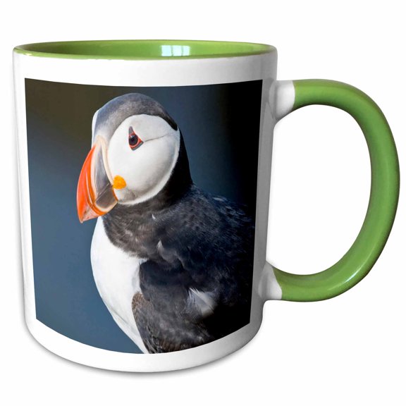 3drose, Atlantic Puffin, Latrabjerg Peninsula, Iceland - Eu14 Rbe0049 - Ralph H. Bendjebar, 11oz Two-tone Green Mug