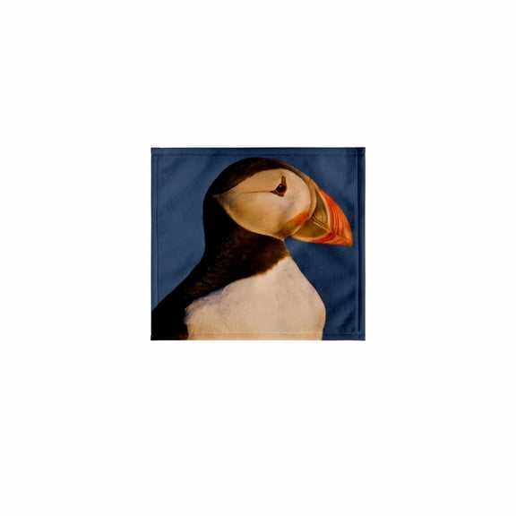 3dRose, Atlantic Puffin, Latrabjerg peninsula, Iceland - EU14 RBE0094 - Ralph H. Bendjebar, 11x12 Wash Cloth for Face and Body