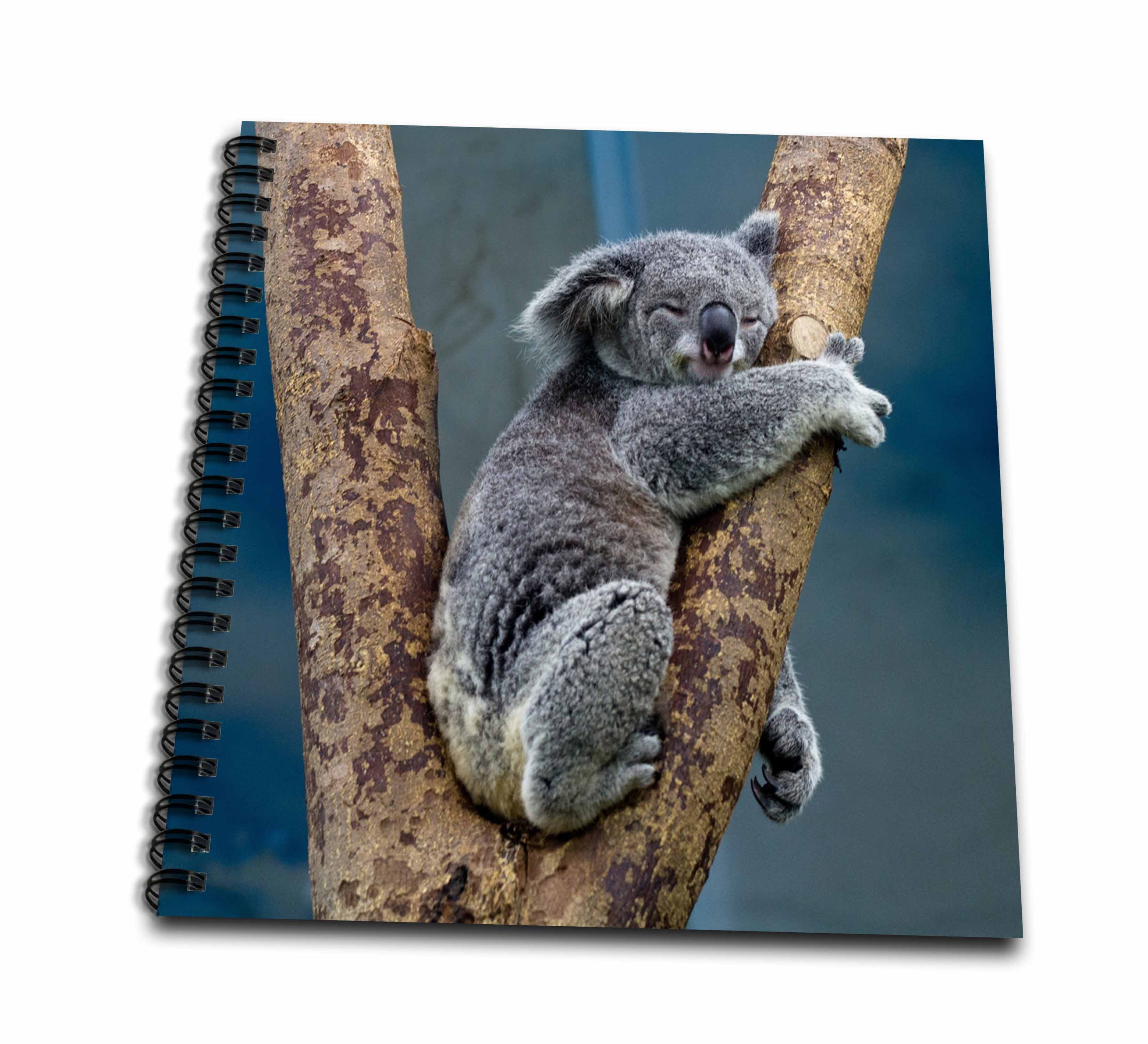 3dRose, Australia Koala Bear , Mini Notepad 4 x 4 inch