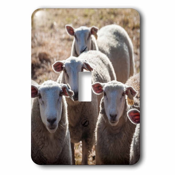 3dRose, Australia, Victoria, Yarra Valley, sheep farm, single toggle switch