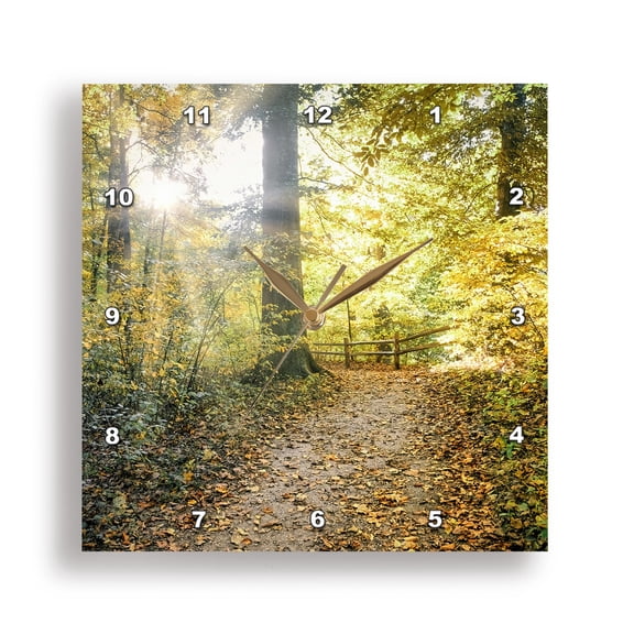 3dRose, Autumn Bluff Trail in Mammoth Cave National Park, 15x15 Wall Clock