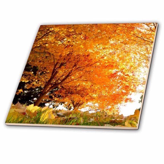 3dRose, Autumn Day, 6 Inch Ceramic Tile