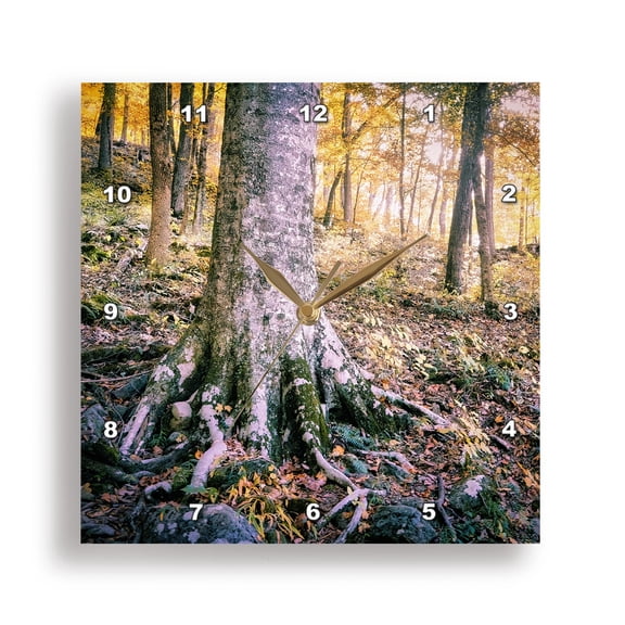 3drose, Autumn Forest View in Mammoth Cave National Park, 10x10 Wall Clock