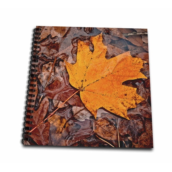 3dRose, Autumn Leaf, Memory Book 12 x 12 inch