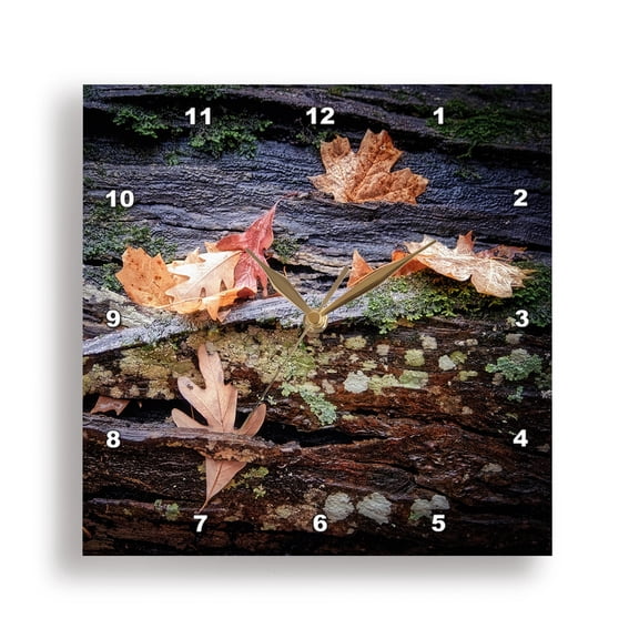 3dRose, Autumn Leaves on Log in Monte Sano State Park, 15x15 Wall Clock