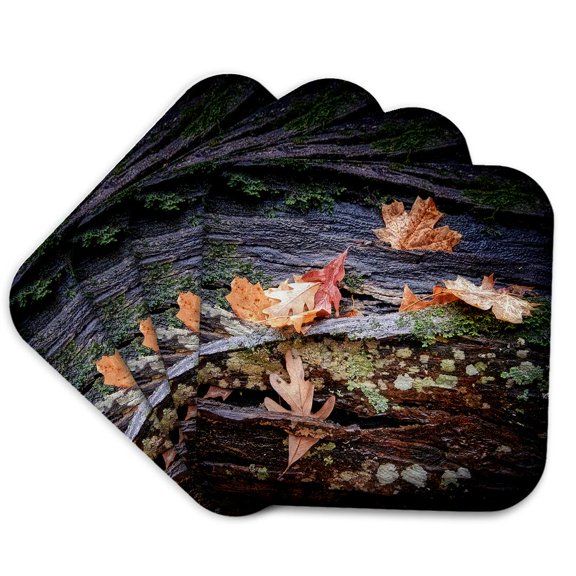 3drose, Autumn Leaves on Log in Monte Sano State Park, Set of 4 Coasters - Soft