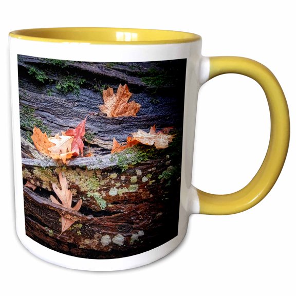 3drose, Autumn Leaves on a Log with Moss and Lichen, 11oz Two-tone Yellow Mug