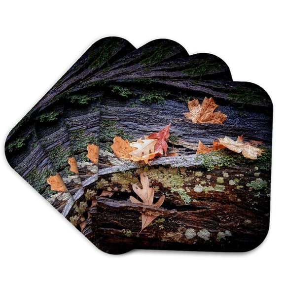 3drose, Autumn Leaves on a Log with Moss and Lichen, Set of 4 Coasters - Soft
