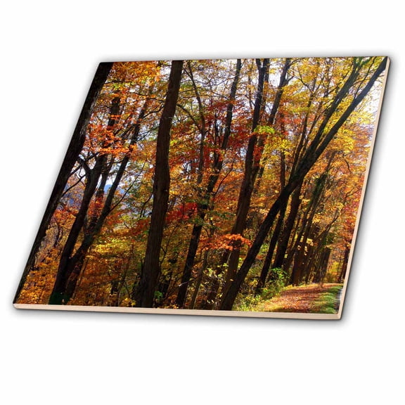 3dRose, Autumn Trees, Dark tree trunks highlighted by golden, russet and red leaves of Autumn, 8 Inch Ceramic Tile