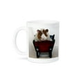 thumbnail image 1 of 3dRose, Baby Guinea Pig in Sleigh photography by Angelandspot, 11oz Mug, 1 of 7