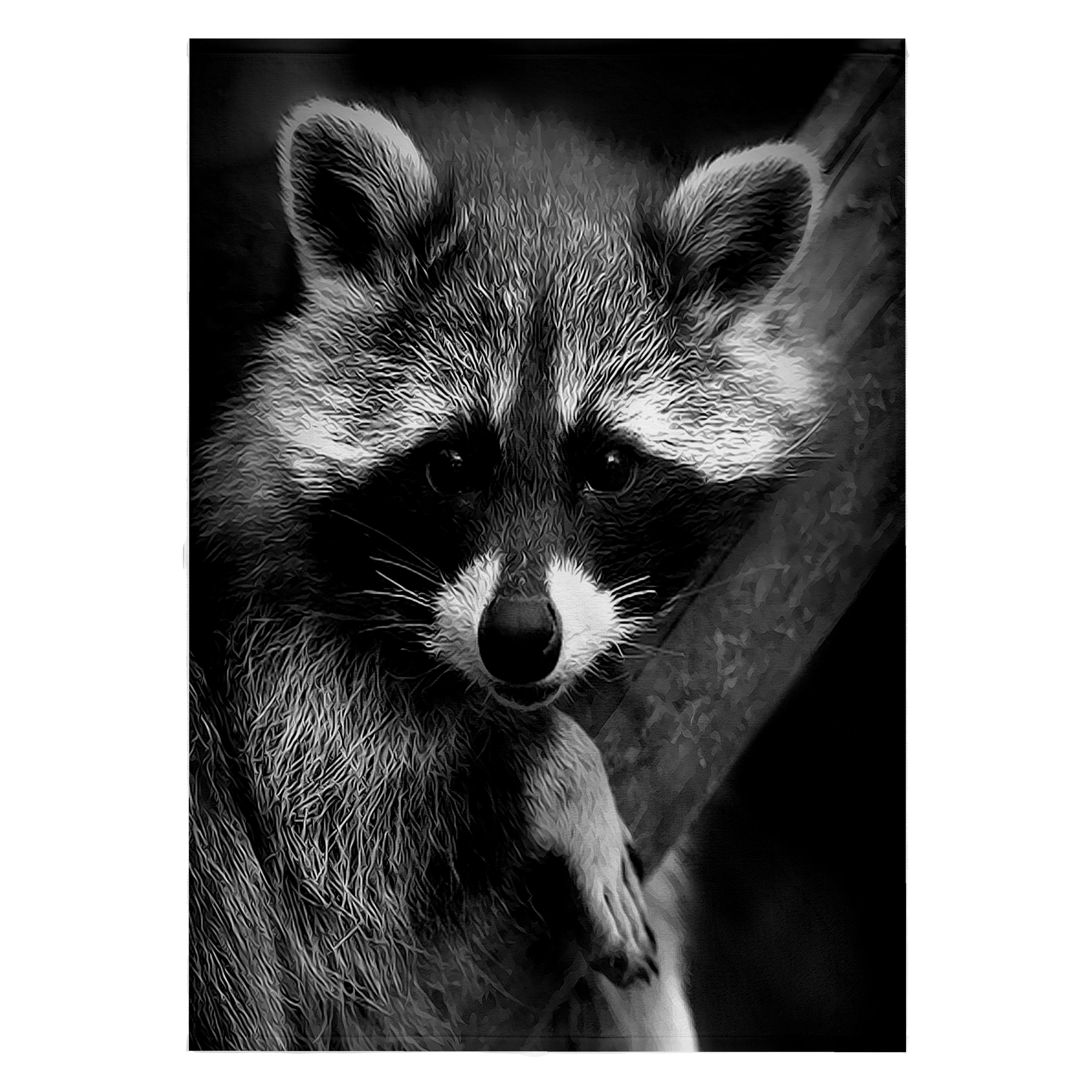 3dRose, Baby Raccoon black and white digital image., 22x30 Bath Hand Pool Towel