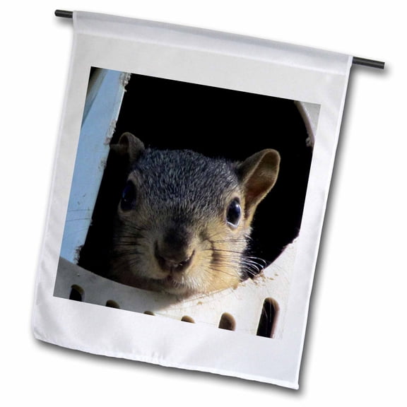 3dRose, Baby Squirrel in a martin bird house, 12 x 18 inch Garden Flag