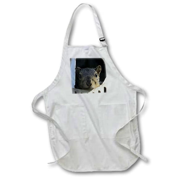 3dRose, Baby Squirrel in a martin bird house, BLACK Full Length Apron with Pockets 22w x 30l