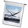 thumbnail image 1 of 3dRose, Bald Eagle, Homer, Alaska - NA02 DNO0620 - David Northcott, 18 x 27 inch Garden Flag, 1 of 1