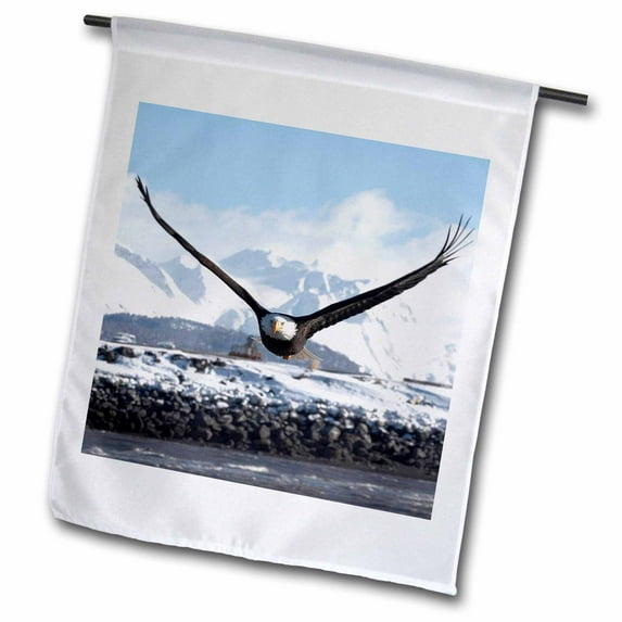 3dRose, Bald Eagle, Homer, Alaska - NA02 DNO0620 - David Northcott, 18 x 27 inch Garden Flag